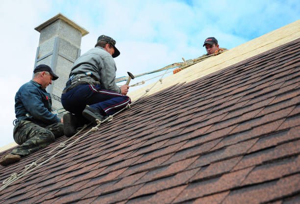 Professional Roofing Contractor in Ivyland, PA